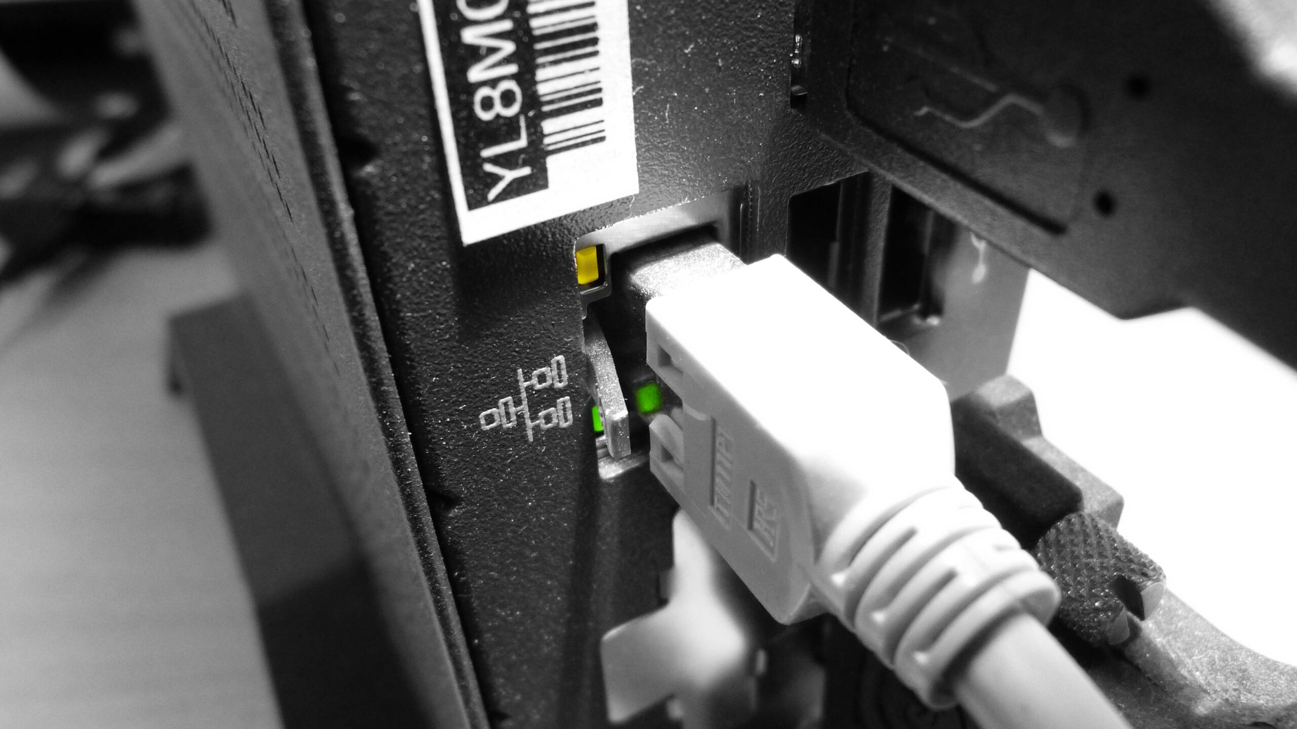 Netzwerkstecker an Thin Client
