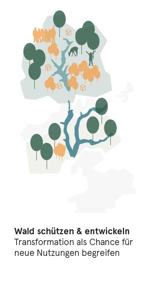 Leitsatz Wald schützen und entwickeln Wald schützen & entwickeln - Transformation als Chance für neue Nutzungen