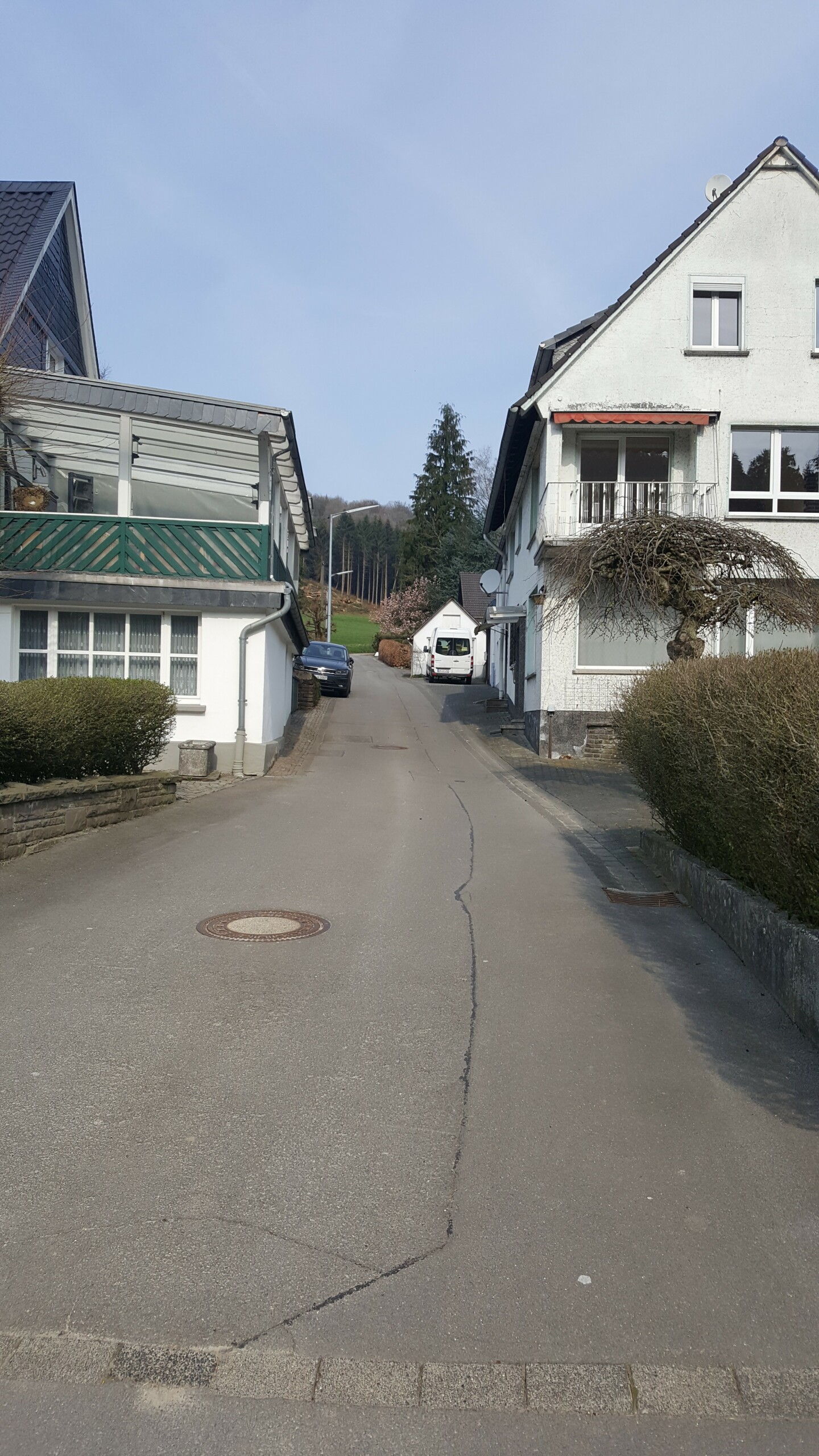 BorkenkäferplageBild10